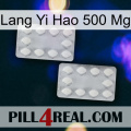 Lang Yi Hao 500 Mg 17